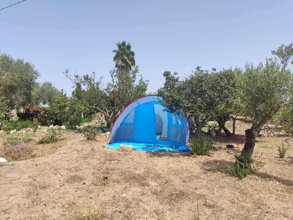 Aree Tende Presso La Casa In Campagna Di Ottavia Hotel Alezio Bagian luar foto