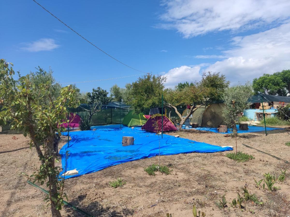 Aree Tende Presso La Casa In Campagna Di Ottavia Hotel Alezio Bagian luar foto