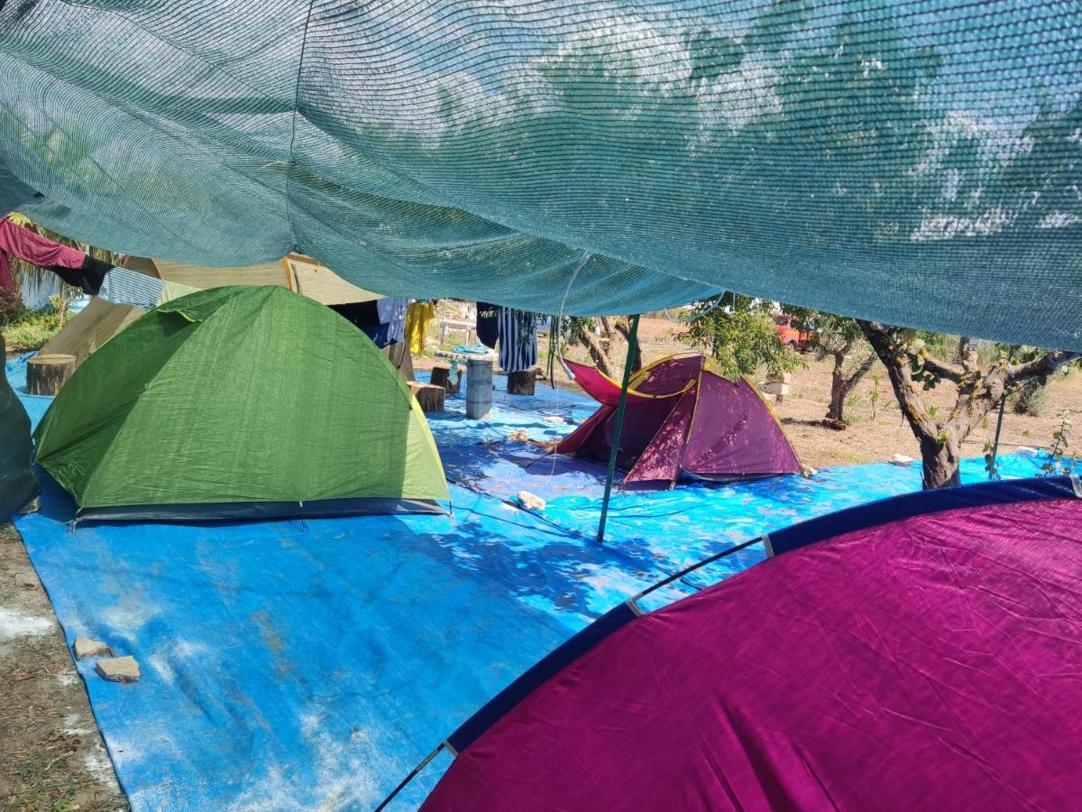 Aree Tende Presso La Casa In Campagna Di Ottavia Hotel Alezio Bagian luar foto